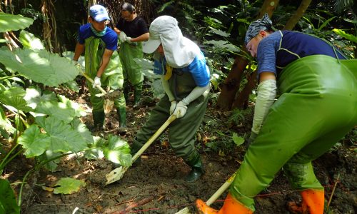 荒野保護協會新竹分會－2022公園生態化志工培訓